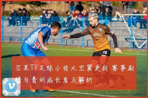 芒果TV足球小将大空翼更新 赛事剧情与青训成长看点解析