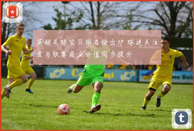 英超足球宝贝排名榜出炉 球迷关注度与联赛商业价值同步提升
