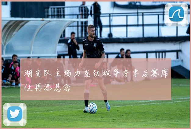 湖南队主场力克劲旅争夺季后赛席位再添悬念