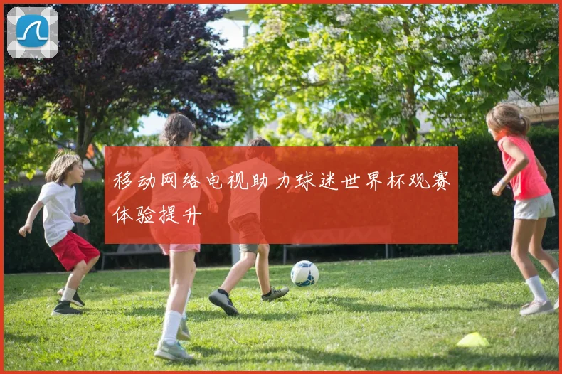 移动网络电视助力球迷世界杯观赛体验提升