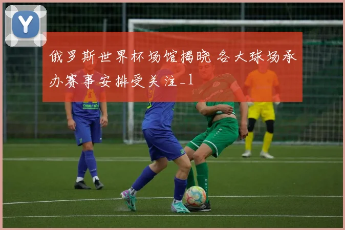 俄罗斯世界杯场馆揭晓 各大球场承办赛事安排受关注_1