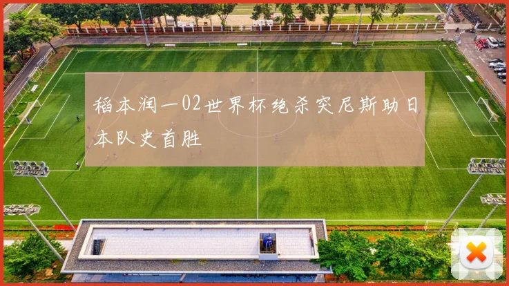 稻本润一02世界杯绝杀突尼斯助日本队史首胜